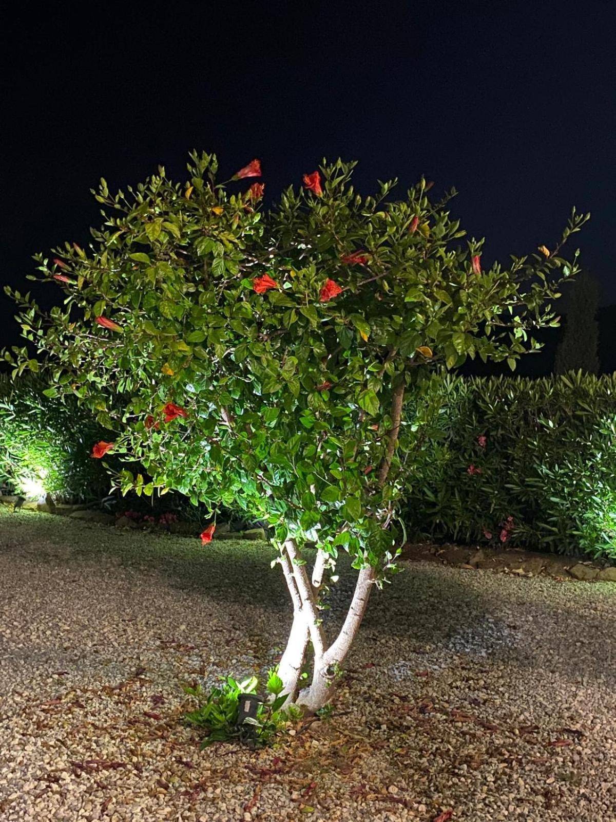 Finca Angelita Торрокс-Коста Экстерьер фото