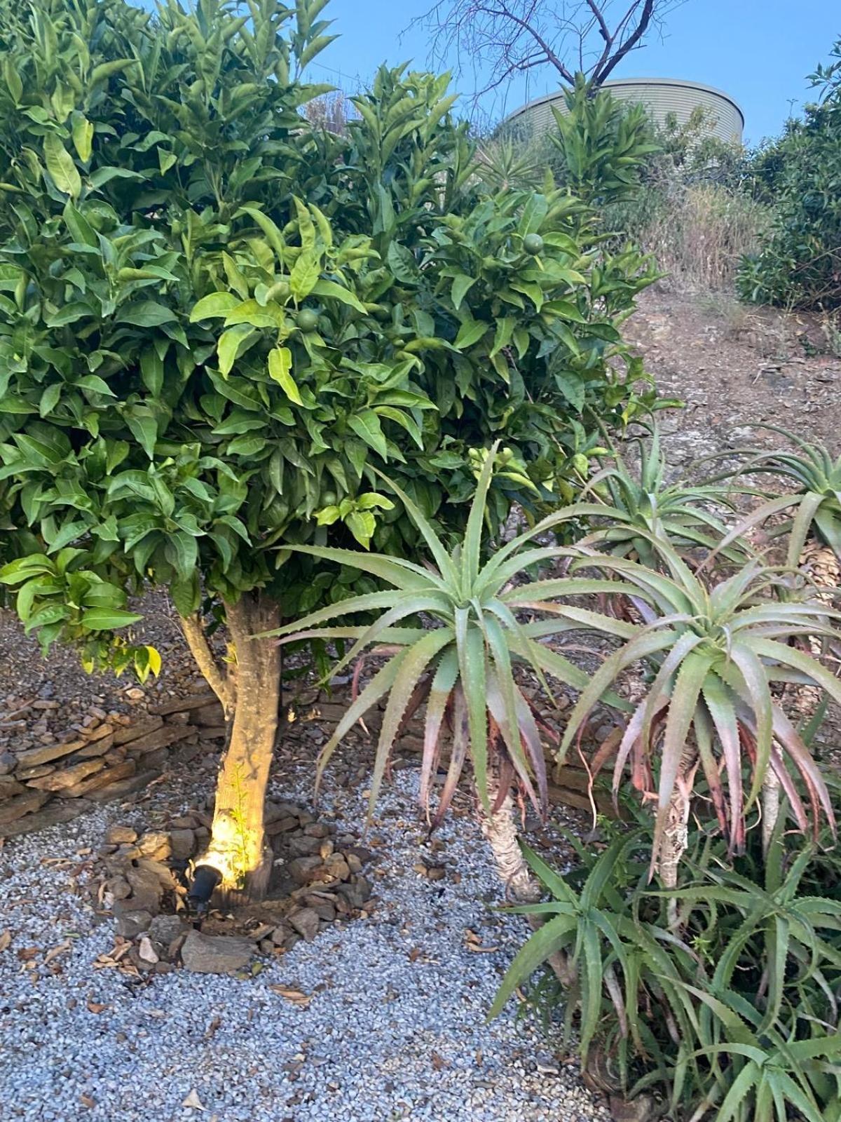 Finca Angelita Торрокс-Коста Экстерьер фото